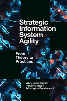 Cover of Strategic Information System Agility: From Theory to Practices